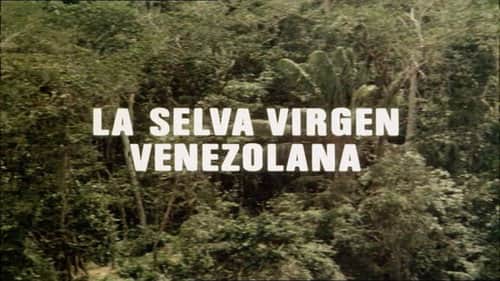 The Venezuelan Virgin Jungle