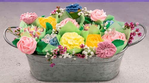 Cacti to Chrysanthemums
