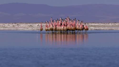 Atacama, Chile