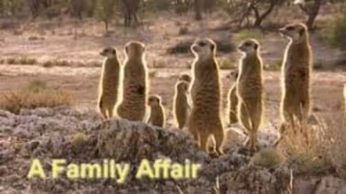 A Family Affair