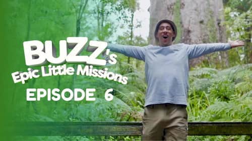 Honey Hunts, the Worlds biggest Tree, and Diving Fun!