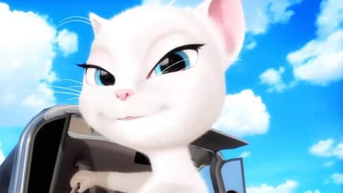 Rock the Catsbah