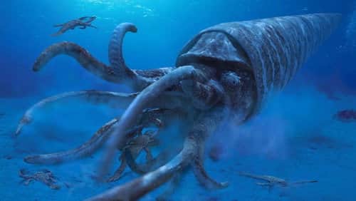 Dangerous Seas