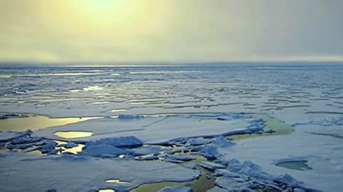 Arctic Ocean: The Frozen Sea
