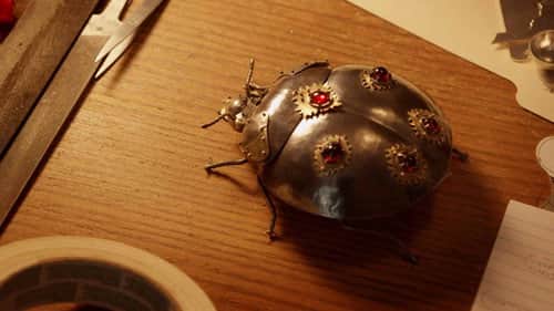 Lady Bug