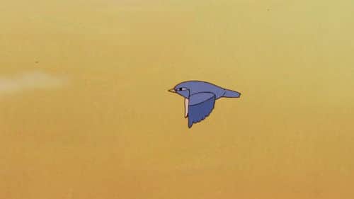 Where Is Pichi?