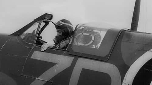 The Few