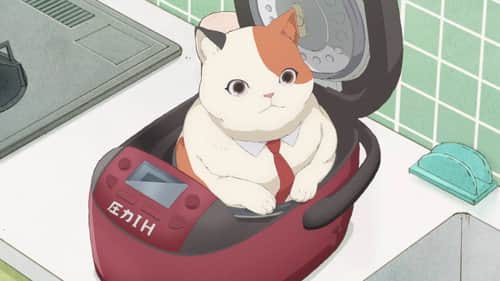MuMu and the Rice Cooker