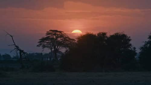 Kenya and Tanzania Part 2