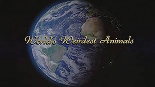 WORLD'S WEIRDEST ANIMALS