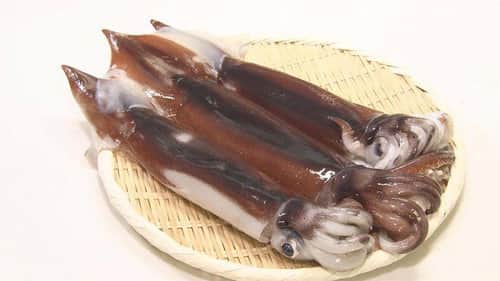 Ika