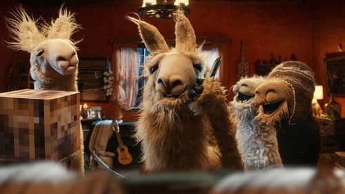 Vicuña