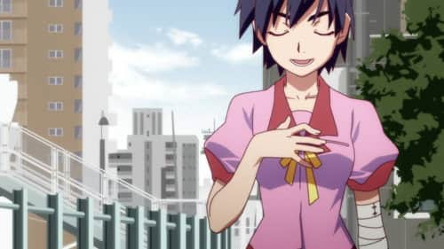 Suruga Monkey (1)