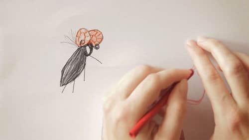 Mr Mosquito