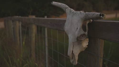 Mystery in Cuero