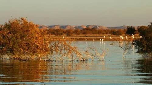 Lake Nasser
