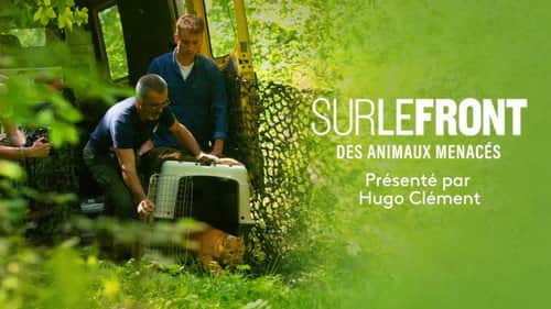 Animals in danger