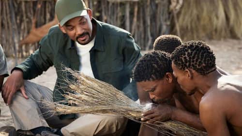 The Kalahari Desert
