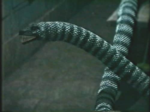 Basilisk Part 2