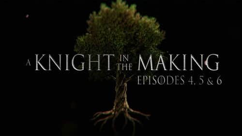 Episodes 4, 5, and 6