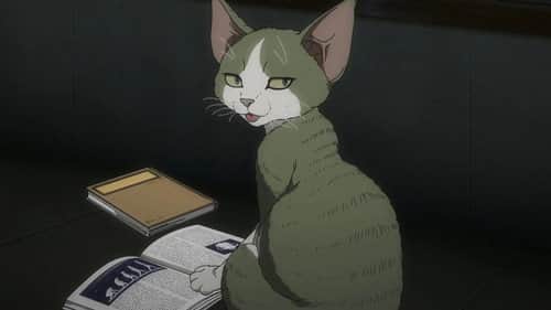 The Feline D-REX from Another World