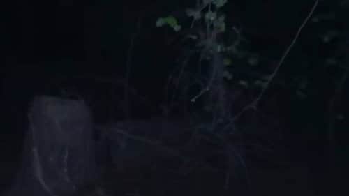 Part 5