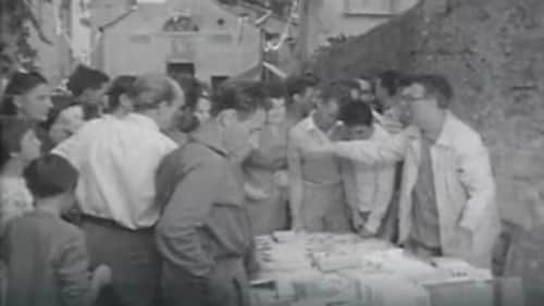 Episode 7