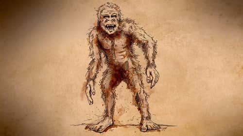Mystery of the Minnesota Wildman