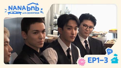 EP1-3. SEVENTEEN, the Professionals