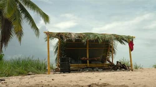 The Traders