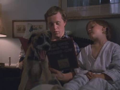 The Baby-Sitter