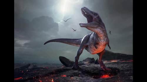 The Extinction