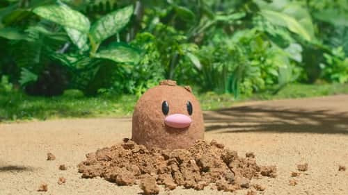 What's on Your Mind, Psyduck?