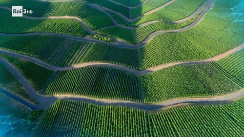 The New Agriculture