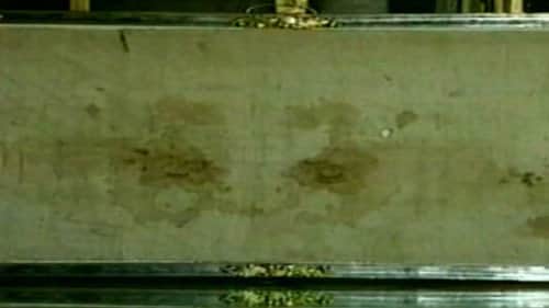 The Oviedo Cloth