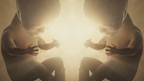 Human Genesis