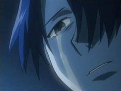 Don`t Cry, For the Snow will Surely Melt