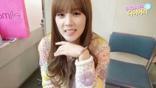 Apink Diary in Japan1