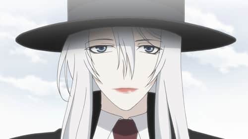 Silver-Coloured Shadow