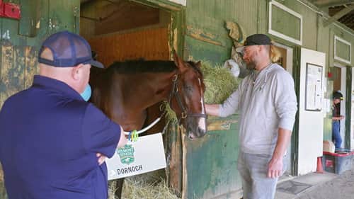The Belmont: Test of a Champion