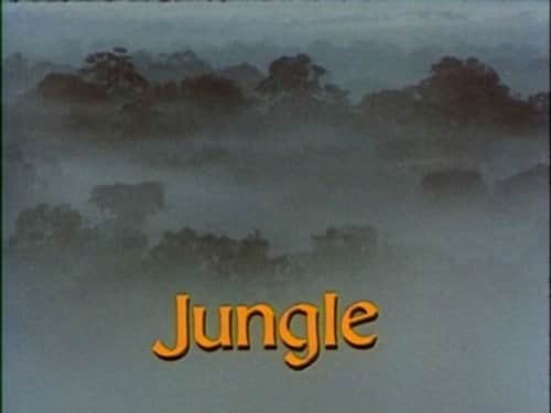 Jungle