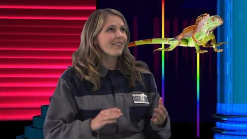 Tim and Eric Qu?z Game 5