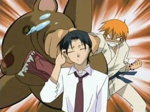 The Sohma Curse
