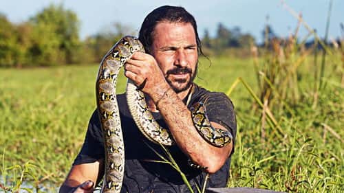 Land of the Python