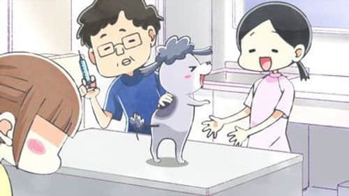 The Vet