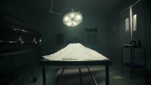 The Autopsies