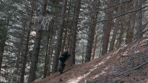 Tasman Glacier