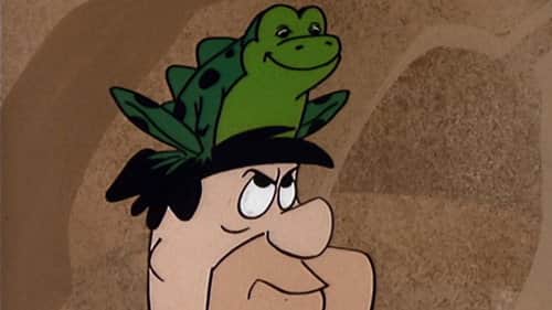 Frog For A Day