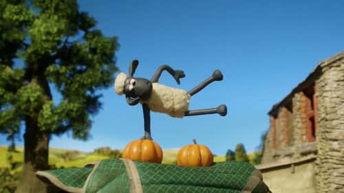 Gymnastics