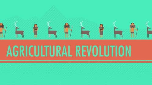 The Agricultural Revolution: Crash Course World History #1